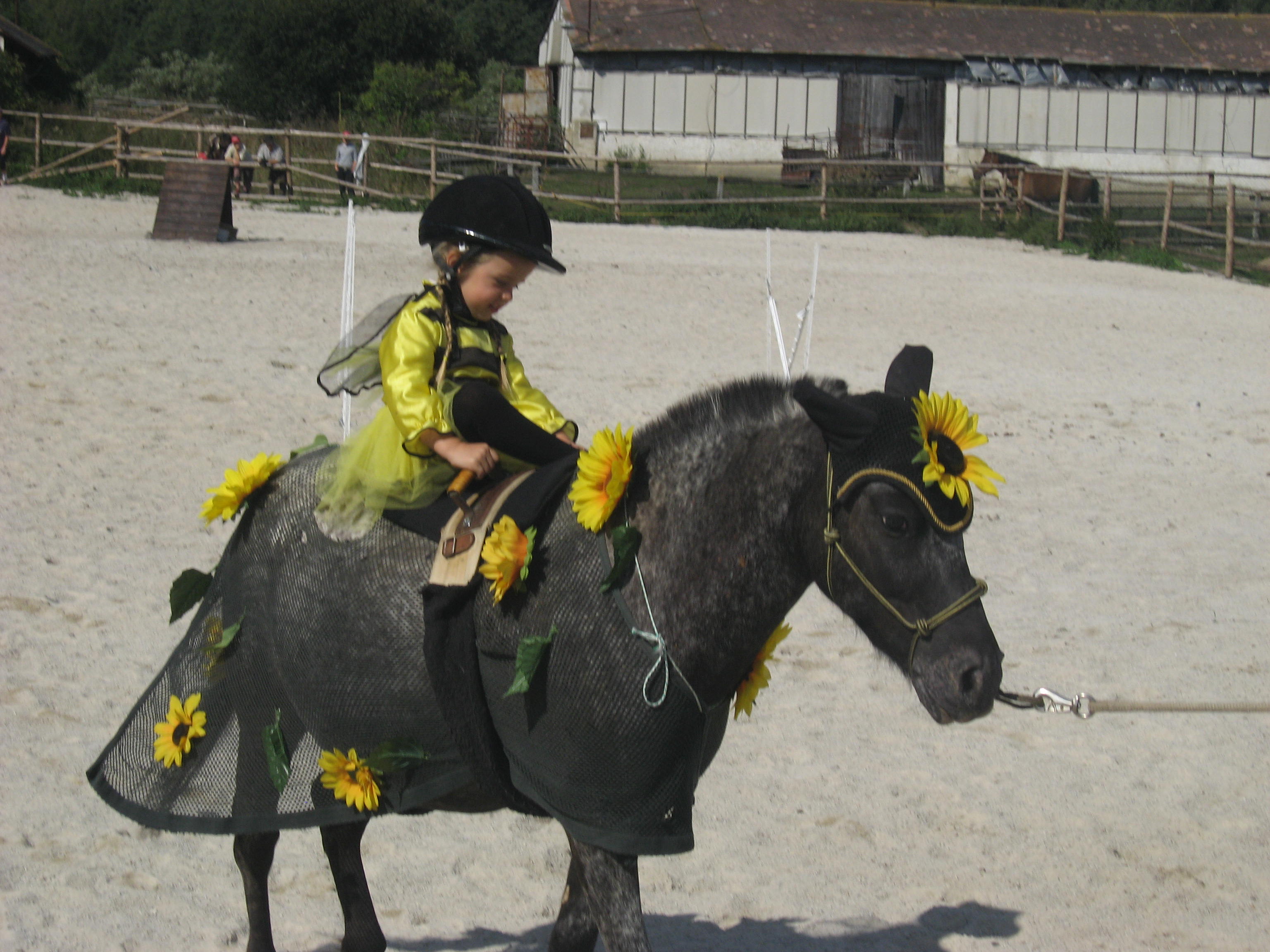 Kobylé na Kobyle Terezka 24.8.2008 211.jpg